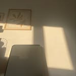 S A S H A - @sasha_hansen2789 - Instagram
