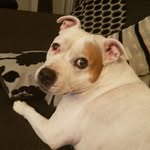 Sasha - @sasha__hansen06707 - Instagram