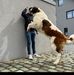 Sascha Halm - Facebook