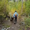 sasha.helmer - @sasha.helmer - TikTok