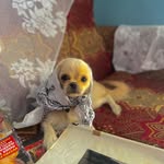 sasha. - @sasha_herrera - Instagram
