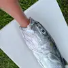 Sasha Hess - @sasha.hess - TikTok