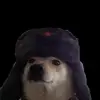 SashaHess - @sashahess0 - TikTok