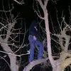 el sasha - @sasha_howe - TikTok