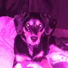 Sasha Hulsen - @sasha.hulsen - TikTok