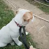 sasha - @sashahulsen5 - TikTok