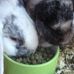 Sasha Joyce - Facebook