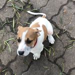Sasha Joyce - @sashajoyce6 - Instagram