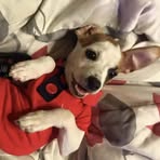 Sasha Kavanagh - Facebook