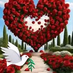 Maree Shasha - Facebook