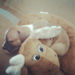 Sasha & Jaz McCall - @sasha_n_jaz - Instagram
