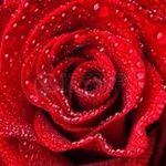 sasha mc calls - @sashamccalls - Instagram