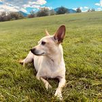 Sasha & Miles - @sashmile - Instagram