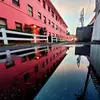 sashamueller_photogr - @sashamueller_phot - TikTok