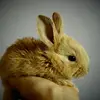 Sasha murray - @sashaxoxo1234 - TikTok