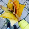 Sasha Ostapenko  - @sashaostapenko - TikTok