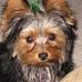 Sasha Pack - Facebook