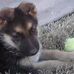 Sasha Pack - Facebook