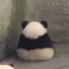 sasha park - @xs__sasha - TikTok