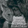 the fool 1963 - @sashapearce71 - TikTok