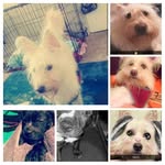 sasha_ pepperr - @sasha_pepperr - Instagram