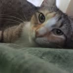 Sasha Pepper - Facebook