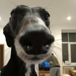 Sasha Pickering - @sasha.privvatte - Instagram