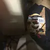Sasha Pierce - @sasha.pierce3 - TikTok