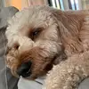 Sasha Powell - @user10188474860968 - TikTok