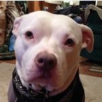 Sasha Marie Quick - @sasha_the_sweetie - Instagram