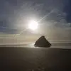 sasharandolph443 - @doggonestella - TikTok