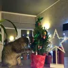 Sasha Ray - @akalinina1219215 - TikTok