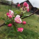 ring.sasha_margo - @ring.sasha_margo - Instagram