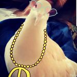 Sasha - @sasha_ringneck - Instagram