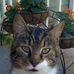 Sasha Roper - Facebook