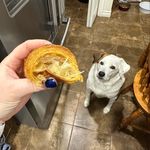 Sasha rowe - @dogs_and_things_i_made - Instagram