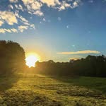Sasha - @sasha_____rowley844ax - Instagram