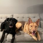 Sasha & Ryder - @sasha_ryderbane - Instagram
