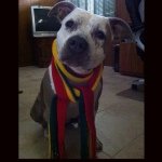 Sasha Ryder - @1lovexbullies - Instagram