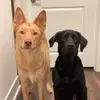 Sasha&Ryder - @sasha_ryder - TikTok