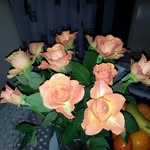 sasha schulz - @ritasasha2005 - Instagram