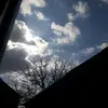 sasha240990 - @sasha_self090 - TikTok