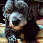Sasha Mosquera Serna - @sernasashamosquera - Instagram