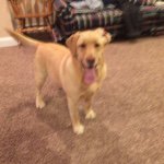 Sasha "snoosh" Shaffer 🐶 - @sasha_shaffer_10 - Instagram
