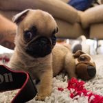 Sasha Sharp - @sasha.sharp.98 - Instagram