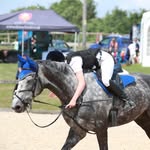 Sasha shaw - @sasha_eventing2 - Instagram