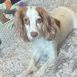 Sasha - @sasha_shields.xo - Instagram