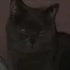 sasha - @sasha.smart1974 - TikTok
