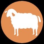 Sasha Torres - @sheepspot - Instagram