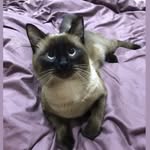 Norbert & Tyson & Sasha - @norbert_tyson_sasha - Instagram